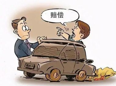 遛狗不拴绳，昆明一宠物狗被撞进汽车保险杠！派出所：狗主人全责并修车