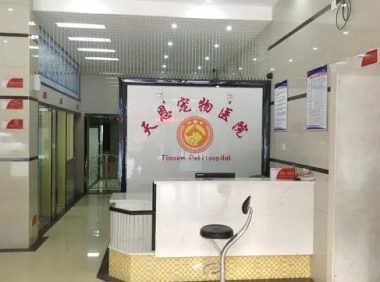 宠物医院帮助流浪猫吗 | 浏阳宠物医生单骑两万里一路救助流浪猫狗30余只