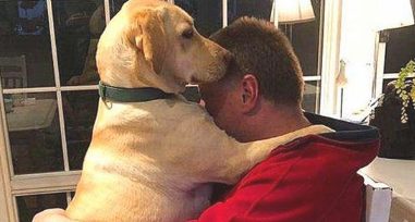 铲屎官挖地自身跳,找来父母照料狗狗,出差回家了后却发觉影响力不保