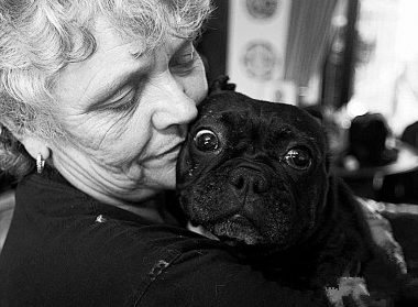 英夫妇每年开销3万英镑饲养41条宠物犬