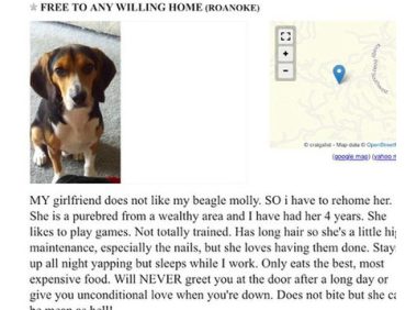 因女友不喜欢宠物狗,美国男子登广告为女友找下家