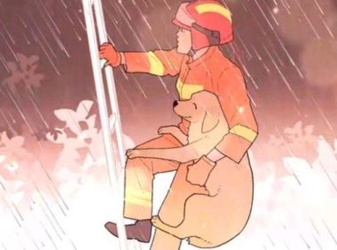 再小的生命,也值得敬畏,暴雨中,那些呼吁救狗的人被骂惨了