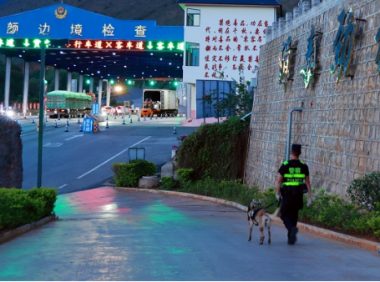 云南保山:警犬“鹰空”获评功勋犬