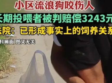陕西流浪狗咬伤居民，长期投喂者被判赔偿3000元，网友：善没善报