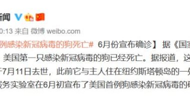 狗和孩子同时养可行吗?答案是不可以