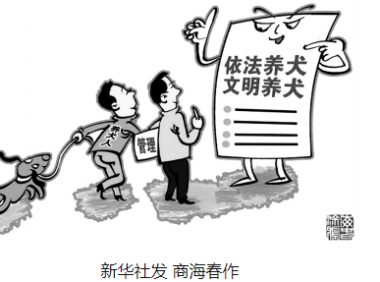 夜跑被狗绳绊倒，双方责任如何担