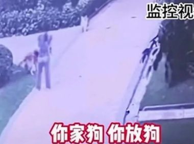男子遛狗不拴绳致狗被咬,称自己是警察,威胁对方小心点