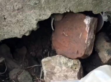 喂了两个月还养不熟的流浪狗，在同伴遇险时，竟向我发出了求助！