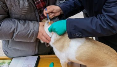 西安经开区社区开展免费接种狂犬疫苗服务进社区活动