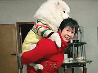 狗狗送去给奶奶调教,接它回来时发现送错地方