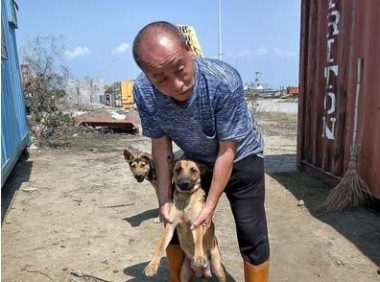 狗妈妈用身体挡住吊车,对工作人员狂叫,原来下面是它的孩子