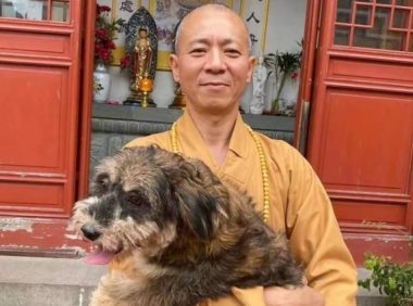 和尚不念经！27年救5500只流浪狗，用实际行动践行「慈悲为怀」
