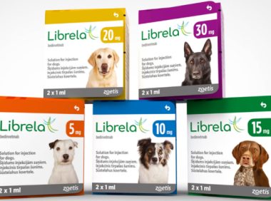 硕腾正式在美国市场推出两款新药，用以治疗犬关节炎及特应性皮炎