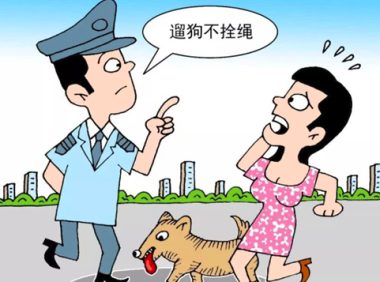 路上被狗咬时把狗踢死了,是否需要负法律责任《民法典》告诉你