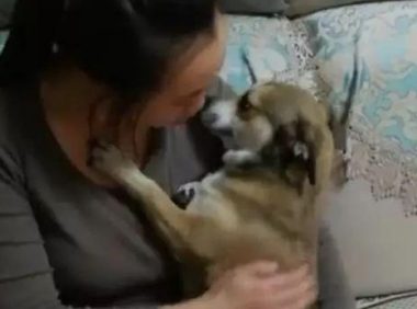 狗子被男主人一顿揍后，委屈的钻入女主人怀中发牢骚，萌化了