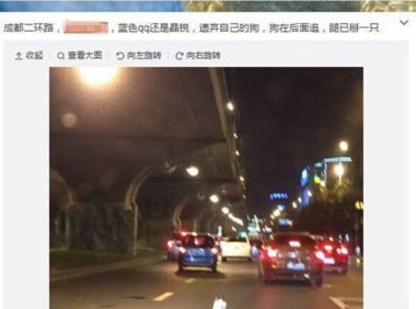 瘸腿小狗“被遗弃”引热议 当事人出面发言