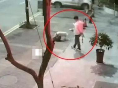 不戴口罩、不牵狗绳？男子遛狗纵容流浪狗被咬死网友：严惩