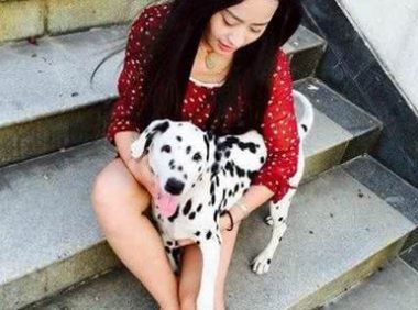 7种好狗回头率超高但生活中少的可怜