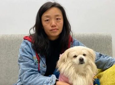 小白狗子宫脓从发现至手术成功主人的心路历程状态风雨后见彩虹