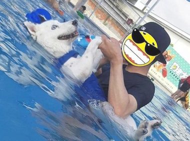 主人家带小狗去游水，哪想二哈忽然飘在河面上：您它是卡死了？