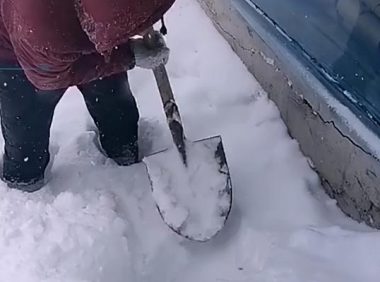 狗在盆在!狗窝被埋,主人铲雪瞬间被逗乐