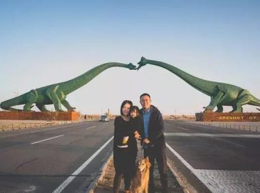经验谈｜带狗旅行无障碍大法