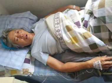 救过数千只狗的7旬老人,如今抱狗求人模样让人泪目