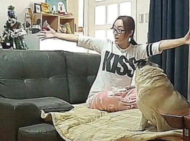 女子养了只大狗,本以为没问题,几个月后却有些遭不住