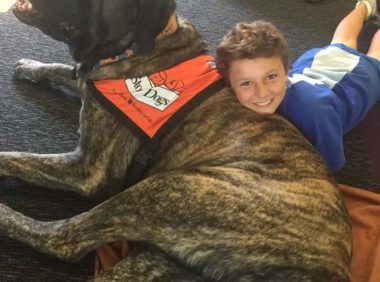 大狗一星期伙食费1300多元，看起来凶却是儿童伴读犬