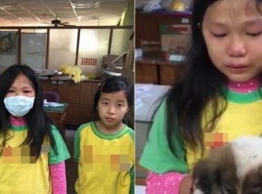 孤儿小狗无处可去 小学生心碎哭肿眼求有人收留