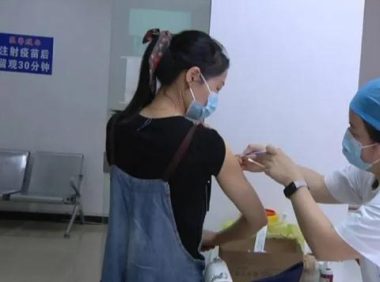夏季狗猫易狂躁,狂犬疫苗接种率逐日增高!