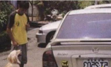 做好这3步，让狗狗乖乖坐车，安全行驶