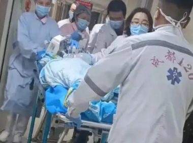 探访女童被大型犬撕咬事件,涉事黑狗已找到,小区保安袖手旁观