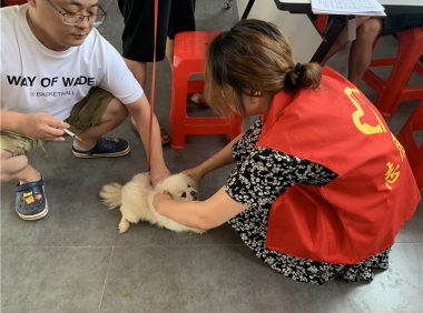 海门区三星镇：文明养犬“别掉链” “宠”爱有佳“她”行动