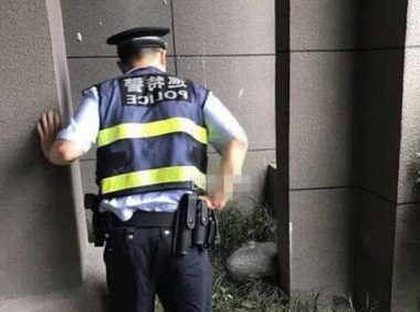 狗狗从高楼掉落,养狗狗要注意这几个问题