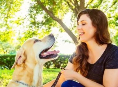 哥伦比亚法院裁定宠物狗为“家庭成员”