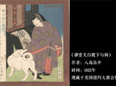 日本文学中的“犬”：猫狗对峙，受伤的总是狗？