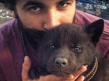 男子在路边捡到流浪黑狗,收养4个月发现竟是黑熊