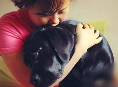 导盲犬珍妮的退休生活