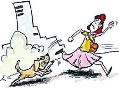 遛狗没有拴绳老人被宠物狗吓住院狗主人买单