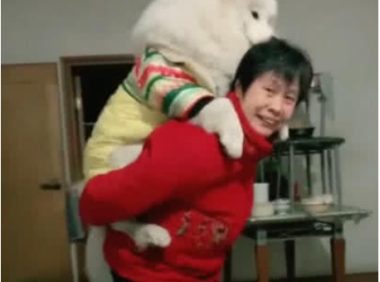 奶奶听说萨摩耶不懂事要帮忙带，不料变成了这种场景，实力宠狗
