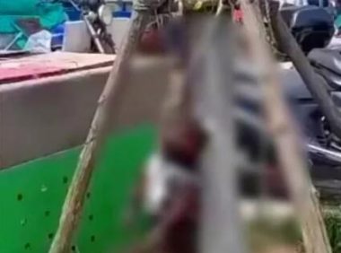 活该!江苏一条狗遭菜场老板棒杀挂树,爱狗人士看到伤心欲绝