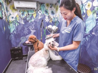 市民出游前想寄养猫猫狗狗常一房难求 “它经济”催热暑期宠物酒店市场