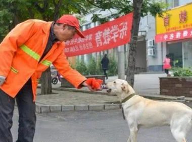 环卫大爷无意救下幼犬,路人主动提出收养后,大爷恳请善待狗狗!