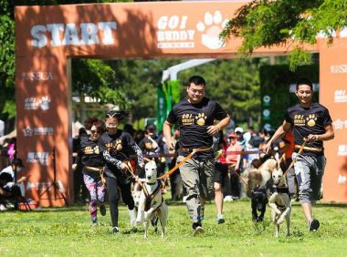 人犬合作征战障碍赛!狗巴迪勇士赛首站登陆北京