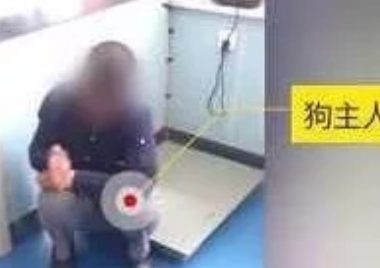 因吃两个饺子 狗狗被主人数刀砍死遗弃路边:不爱也不要去伤害它