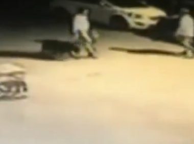 济南一男子饲养8年的爱犬被狗贩偷走 在宠物市场失而复得