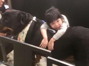 狗狗与邻居小姐姐拼桌，主人无可奈何调侃！狗狗：吃货一家亲嘛！