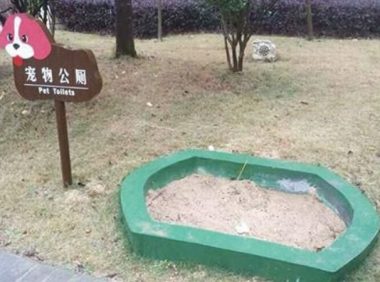 小区为宠物建公厕 网友：再也不担心“狗屎运”