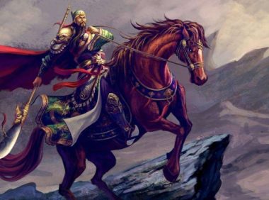 她收养600条流浪狗，一个月花费6万元，大妈：不后悔